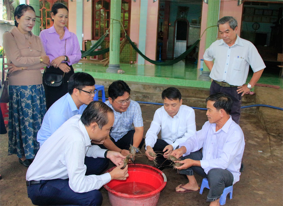 Giải pháp nâng cao hiệu quả hoạt động các câu lạc bộ nông dân tỷ phú